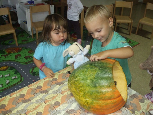 DSCF5474