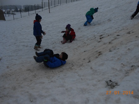 DSCN0785