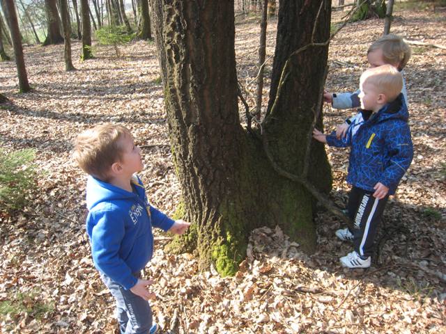 IMG 3551