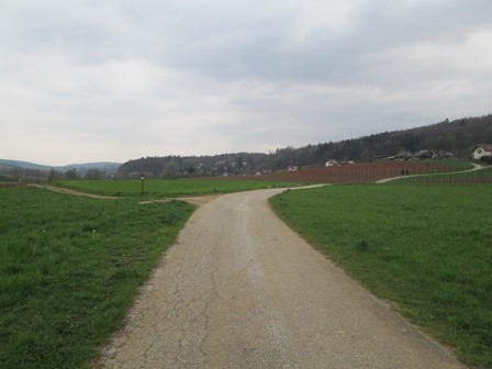 img 0485
