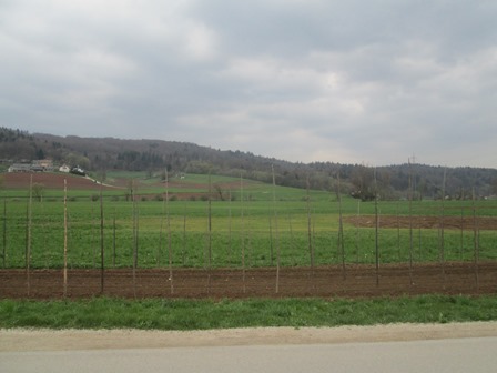 img 0561