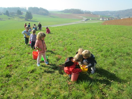 img 9483