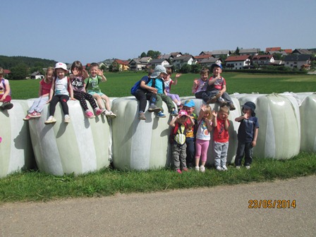 IMG 3745