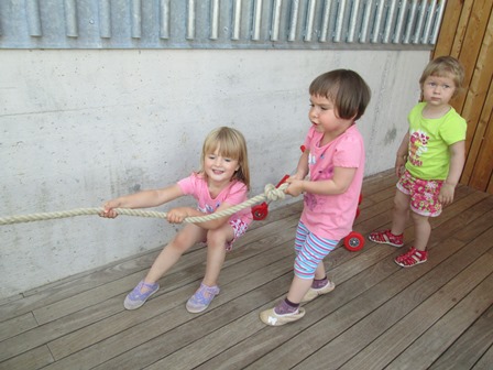 img 7649